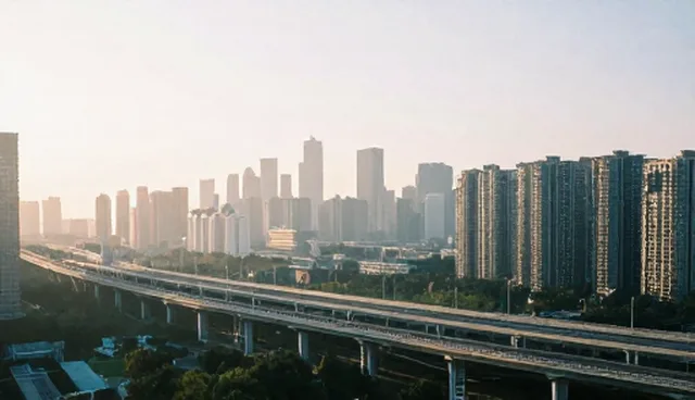 阶段反馈在企业管理咨询中的适用条件与选择依据